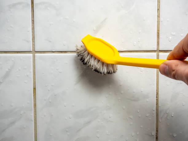 Best Attic Mold Removal  in Manhasset, NY