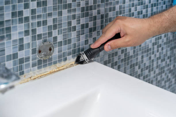 Best Mold Testing  in Manhasset, NY