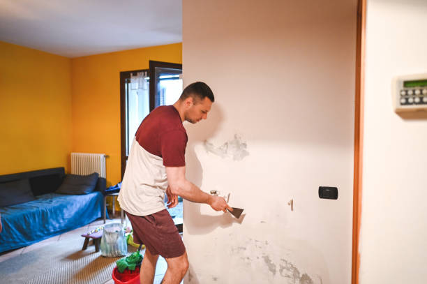 Best Mold Damage Repair  in Manhasset, NY